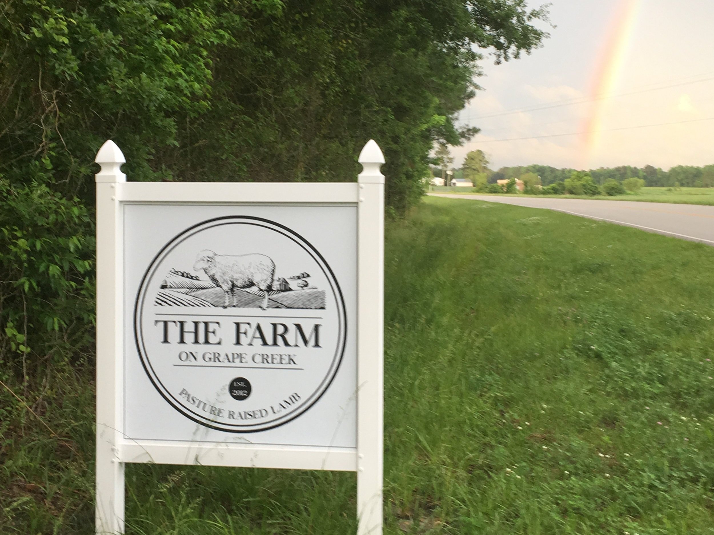 164C00C8-0C1D-461A-BF71-D5E1D42BCF69 Sign for "The Farm on Grape Creek," featuring a sheep illustration, located along a rural road with lush greenery and a rainbow in the background. The farm specializes in pasture-raised lamb and was established in 2012.