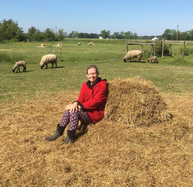 Woman sitting on a haystack in a green pasture with grazing sheep, wearing a red jacket and patterned pants, under a clear blue sky.