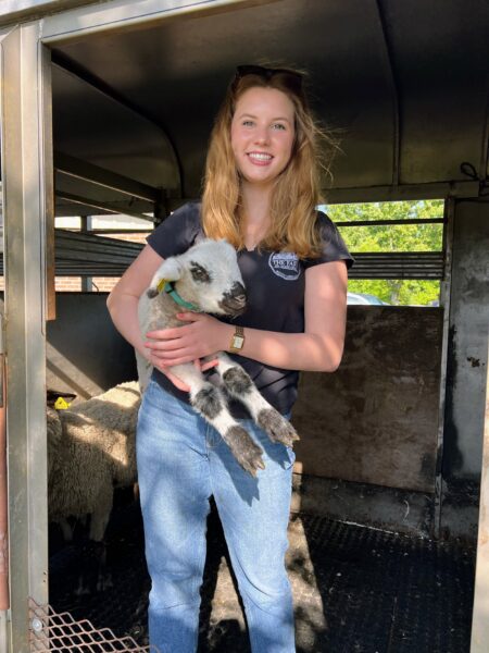 Young woman holding a small lamb while standing inside a livestock trailer, showcasing a farm setting with sheep in the background. The image captures a moment of care and connection between humans and animals on a sunny day.